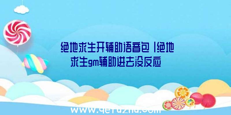 「绝地求生开辅助语音包」|绝地求生gm辅助进去没反应